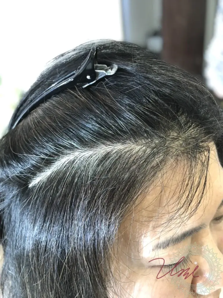 henna-shiragazome-tokyo-ginza-766