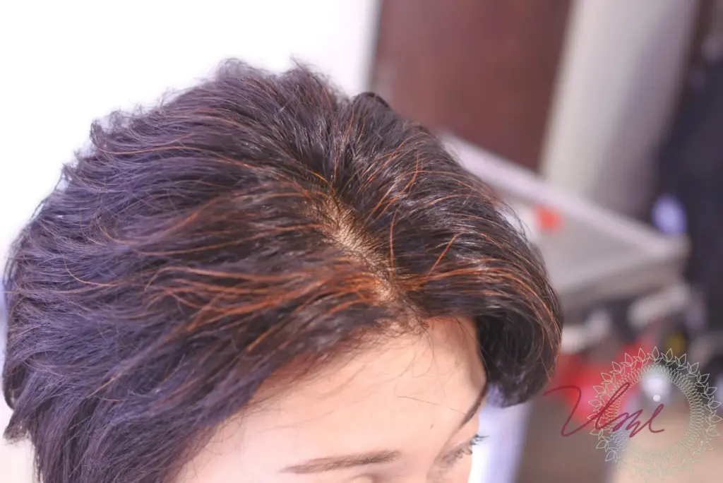 henna-shiragazome-tokyo-ginza-870