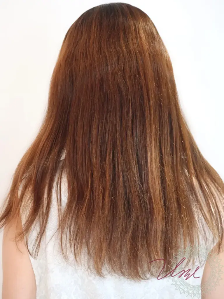 henna-shiragazome-tokyo-ginza-883