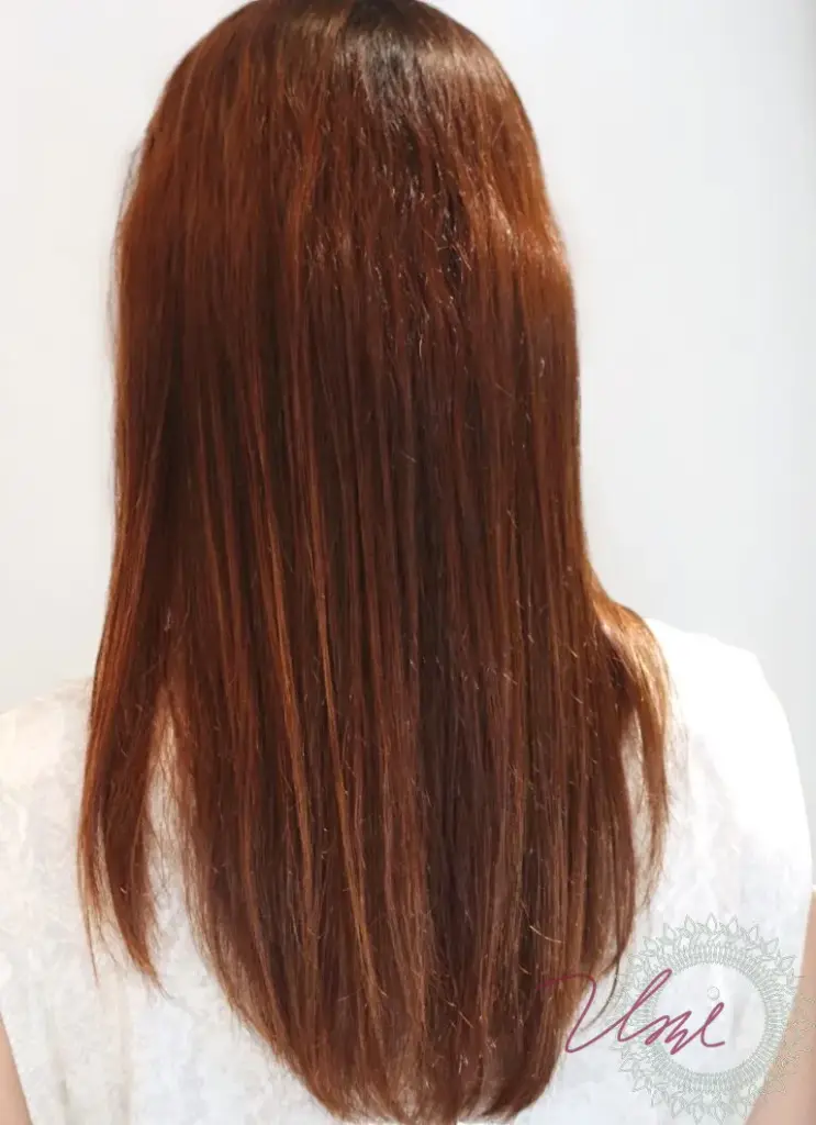 henna-shiragazome-tokyo-ginza-894