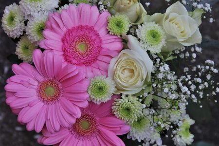 腰椎固定術の抜釘から、ちょうど一年が経って