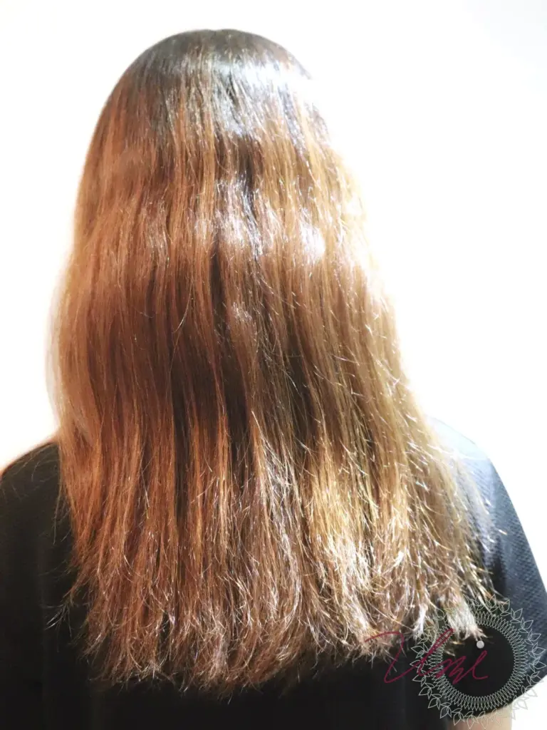 henna-shiragazome-tokyo-ginza-993