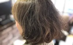 henna-shiragazome-tokyo-ginza-1089