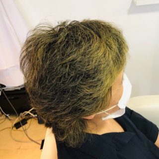ハナヘナ1回染めと塗るだけヘナの違い！