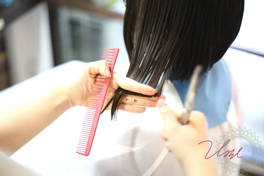 Image haircut-color-perm-tokyo-ginza-1398東京銀座天然ヘナのハナヘナ・アーユルヴェーダ専門美容師Umi