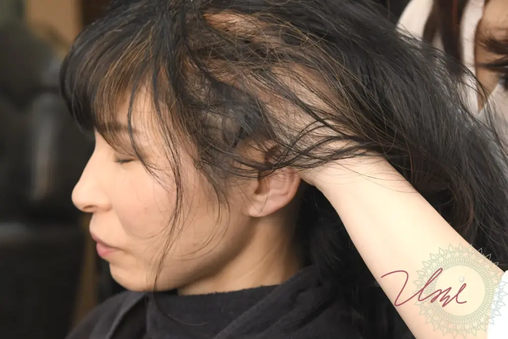 henna-shiragazome-tokyo-ginza-1572